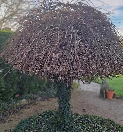 Casa Barbora - Ar-720-as * 비야비시오사